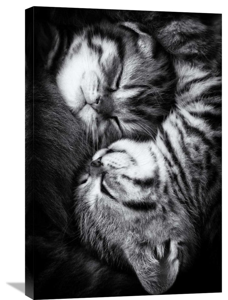 "Yin And Yang" Stretched Canvas Giclee by Andrea Jancova, 20x30"