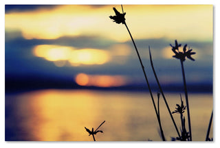 'Sunset Thoughts' Canvas Art by Beata Czyzowska Young