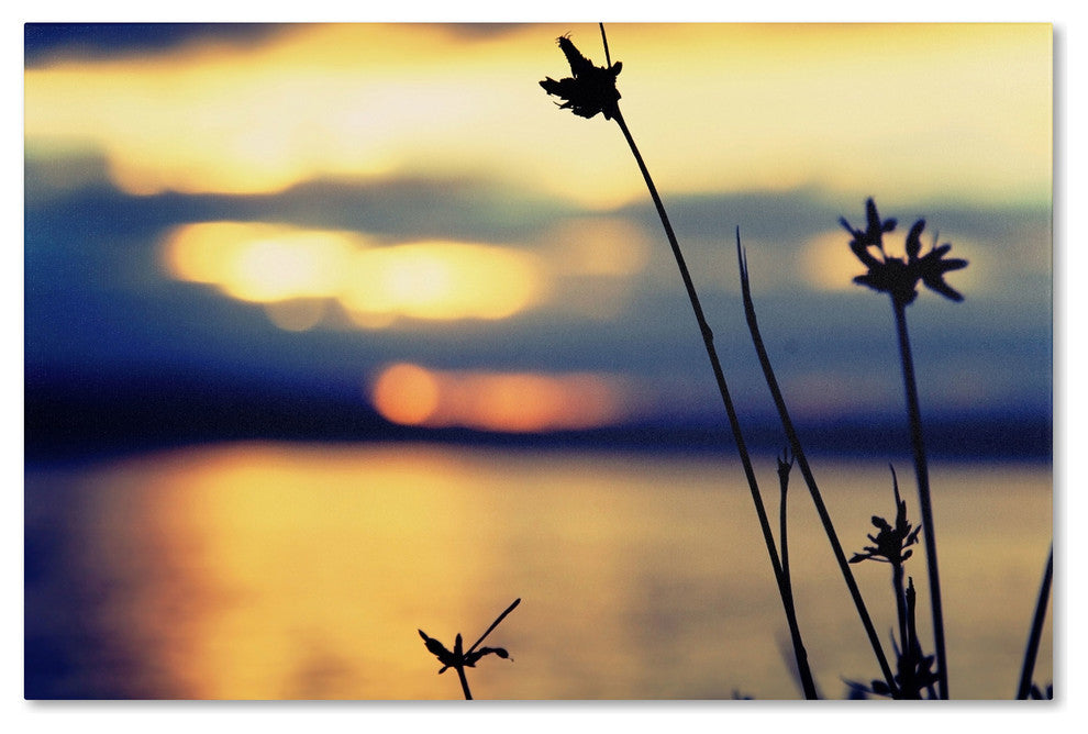 'Sunset Thoughts' Canvas Art by Beata Czyzowska Young