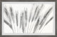 "Grass Grows" Framed Painting Print, 12x8