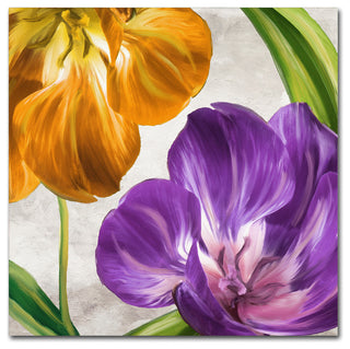 Color Bakery 'Open Arms II' Canvas Art, 24"x24"