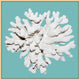 Coral On Aqua 3, Giclee Reproduction Artwork