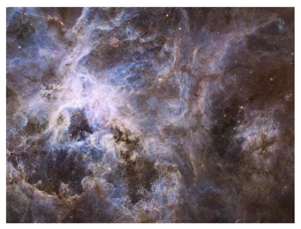 "Wide Field 30 Doradus UVIS" Digital Paper Print by NASA, 34"x26"