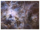 "Wide Field 30 Doradus UVIS" Digital Paper Print by NASA, 34"x26"