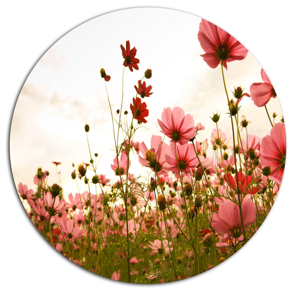 Beautiful Cosmos Flowers Garden, Floral Disc Metal Wall Art, 36"