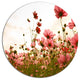 Beautiful Cosmos Flowers Garden, Floral Disc Metal Wall Art, 36"