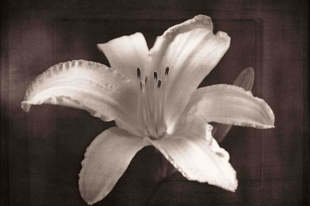 "Fully Exposed" Painting Print on Canvas by Robertson