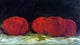 Gustave Courbet Red Apples, 15"x30" Wall Decal