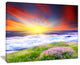 "Sunrise With Blooming Flowers" Landscape Art Canvas Print, 20"x12"