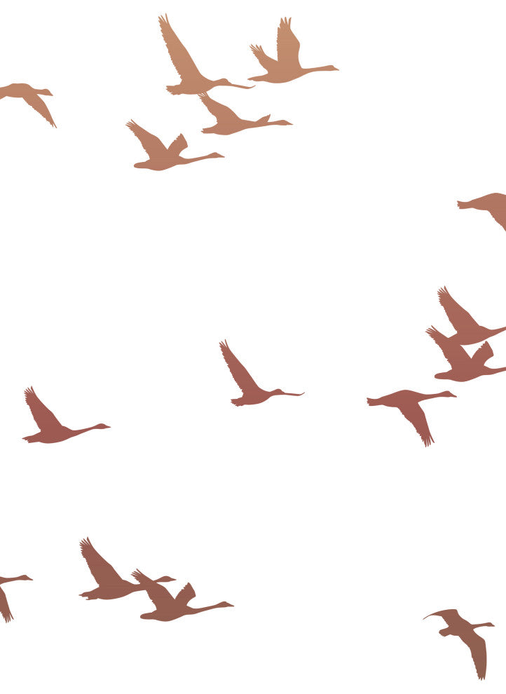 Soaring Birds Peel and Stick Vinyl Mural, Sunset, 24"w X 96"h, Single