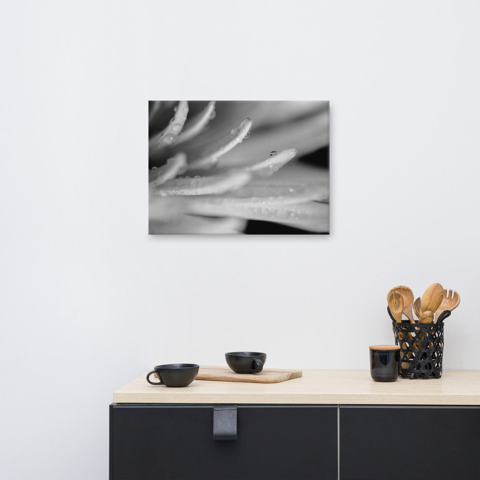 Droplets on Petals Floral Nature Photography Canvas Wall Art Print, 18" X 24"
