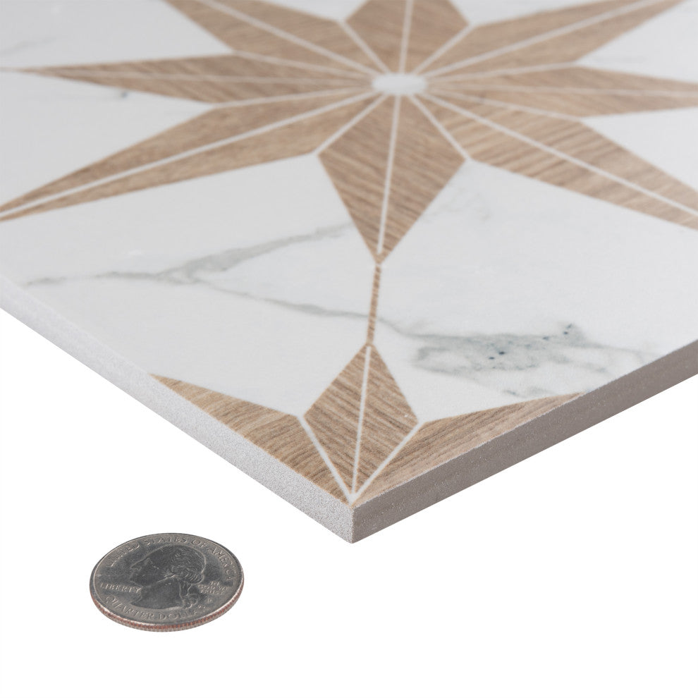 Llama Stella Loire Porcelain Floor and Wall Tile, Noce, Noce