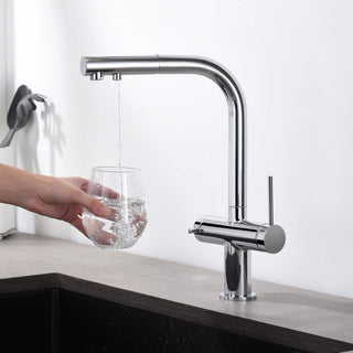 Circular 2-in-1 Water Filter Kitchen Pull Out Faucet, Chrome