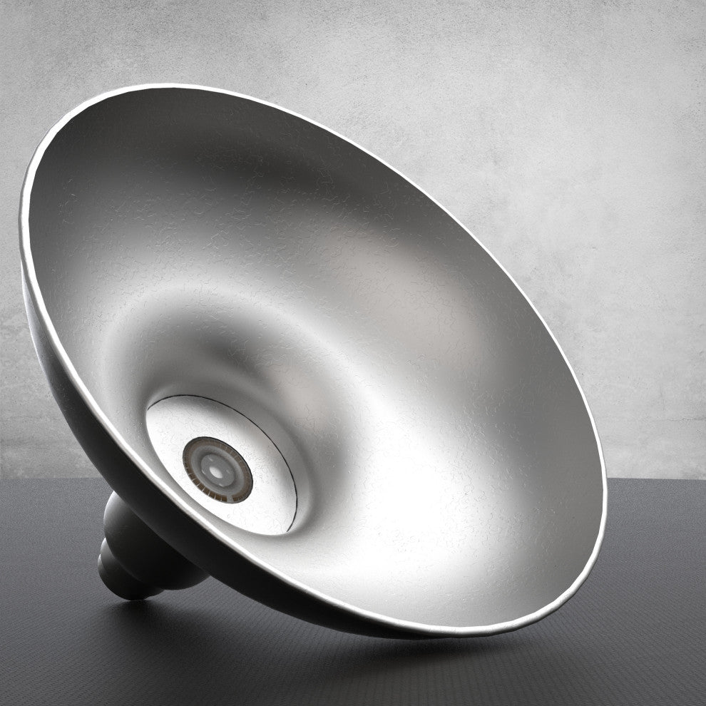 8in. Galvanized Silver Gooseneck Barn Light with Trim Arm