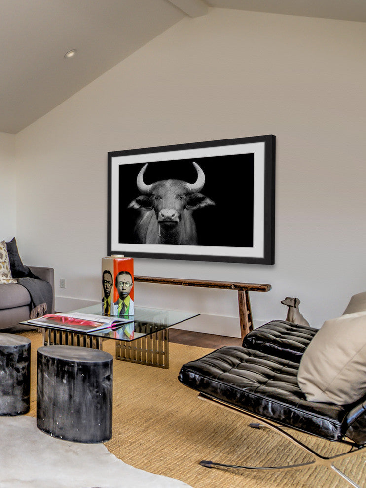 Marmont Hill, "Cow Stare" Framed Painting Print, 36x24
