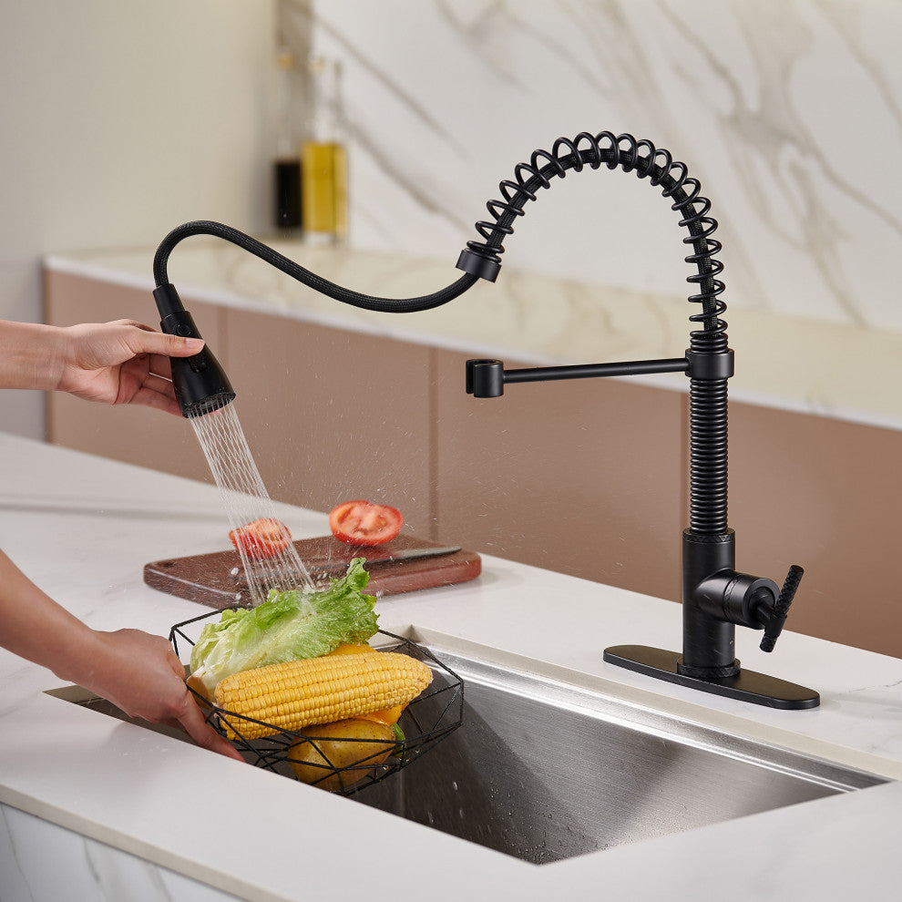 Single Handle Kitchen Sink Faucet Pull-Down Sprayer, 360 Swivel, 3 Functions, Matte Black