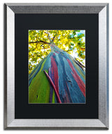 CATeyes 'Rainbow Eucalyptus Tree' , Silver Frame, Black Mat, 20x16