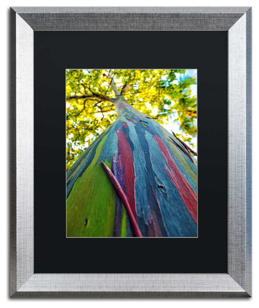 CATeyes 'Rainbow Eucalyptus Tree' , Silver Frame, Black Mat, 20x16