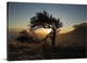 "By Table Mountain" Wrapped Canvas Art Print, 48"x32"x1.5"