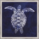 "Custom Sea Turtle Shadow I" Wall Art, 21"x21"