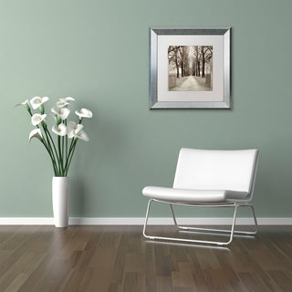 Alan Blaustein 'Veneto Giardini I' Art, Silver Frame, White Mat, 11x11