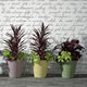 Madison Modern Round Plant Pot Weather Proof - 14'' (Alpine White), Old Bronze, 14''
