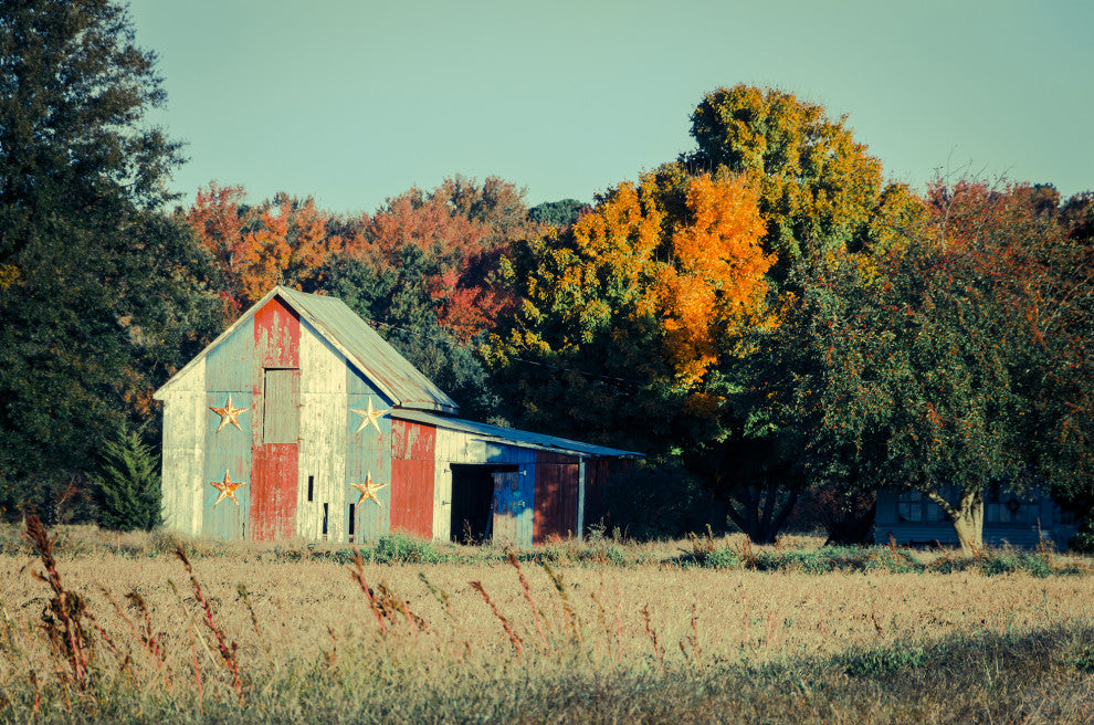 Patriotic Weathered Barn in Field Cross Processed Framed Photo Wall Art Prints, Red Oak, 12" X 18"