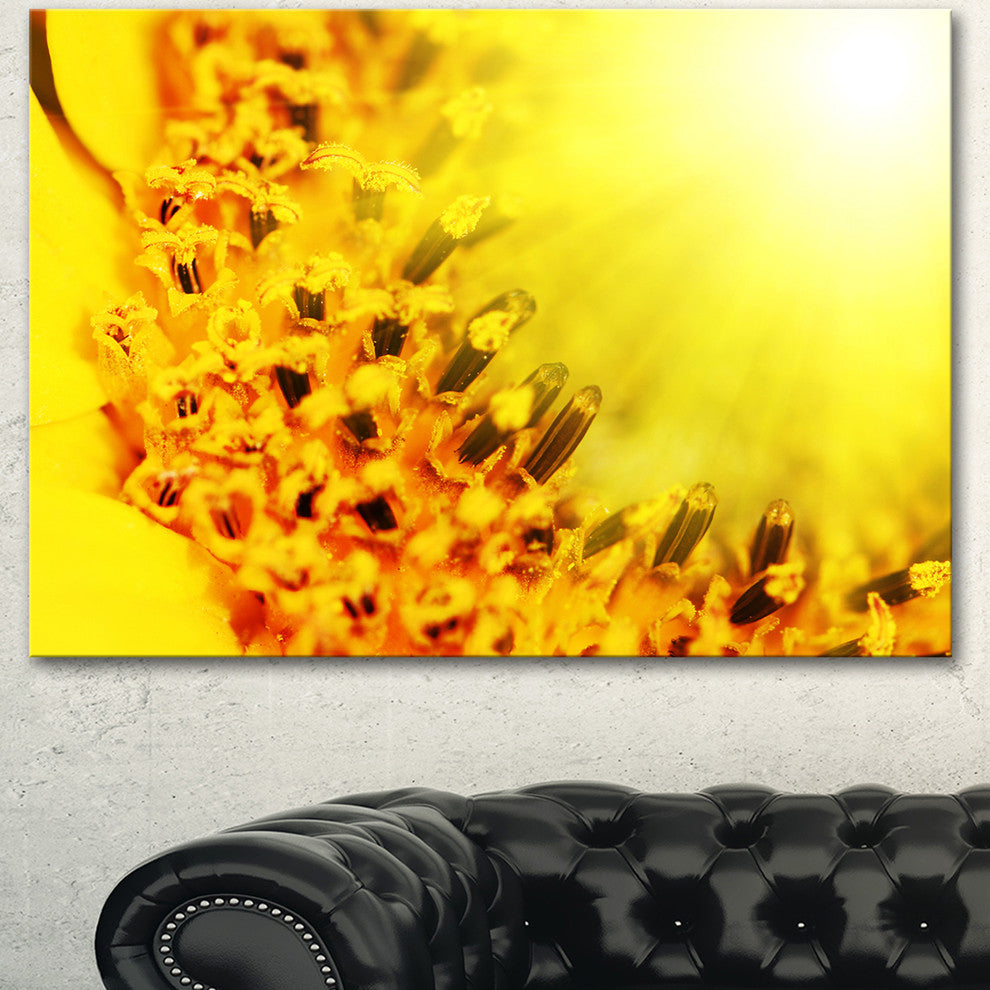 Bright Yellow Sunflower Close Up, Floral Canvas Art Print, 40"x30"