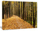 Dense Autumn Forest Woods, Modern Forest Canvas Art, 40"x30"