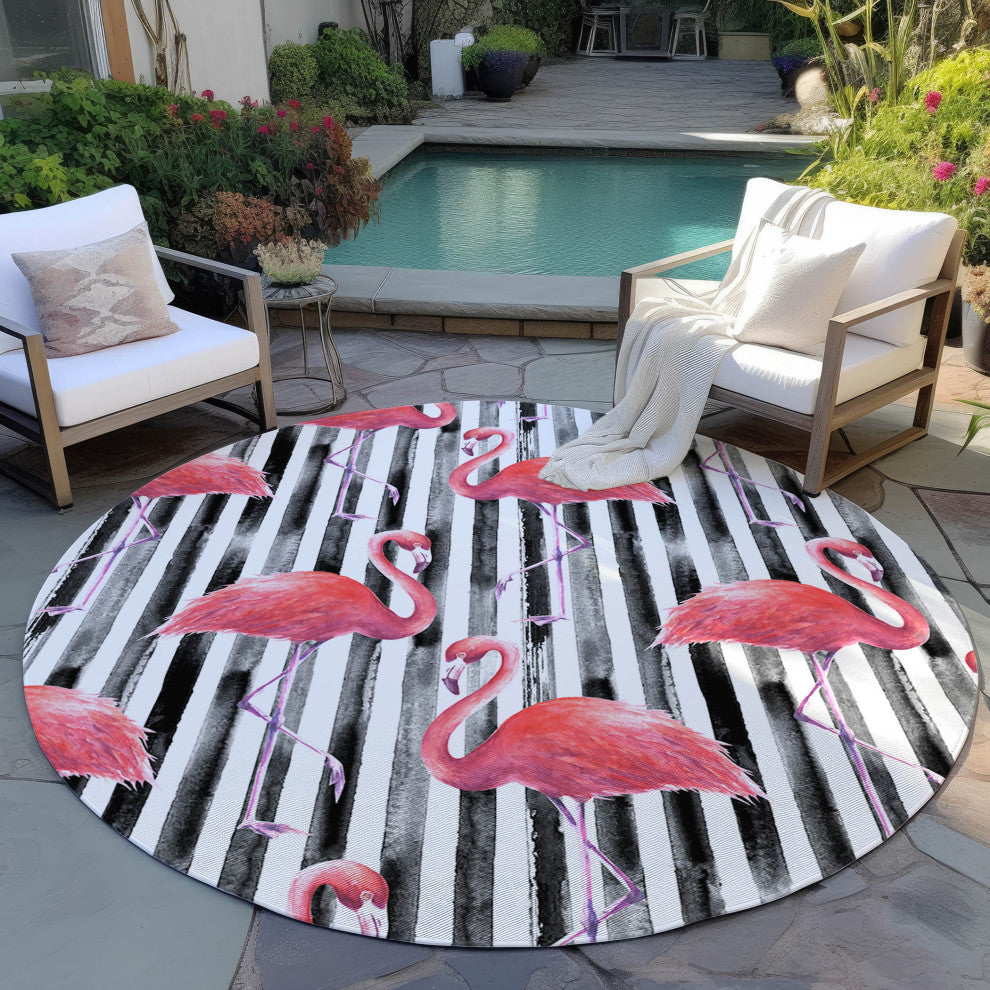 Indoor/Outdoor Tropics TC9 Black Machine Washable 8' x 8' Round Rug