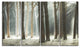 "Maritime Pine Tree Forest With Rays" Forest Wall Art, 4 Panels, 48"x28"