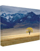 Open Range Landscape With Tree, Canvas, 24"x30"