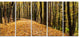 Dense Autumn Forest Woods, Modern Forest Canvas Art, 60"x28", 5 Panels