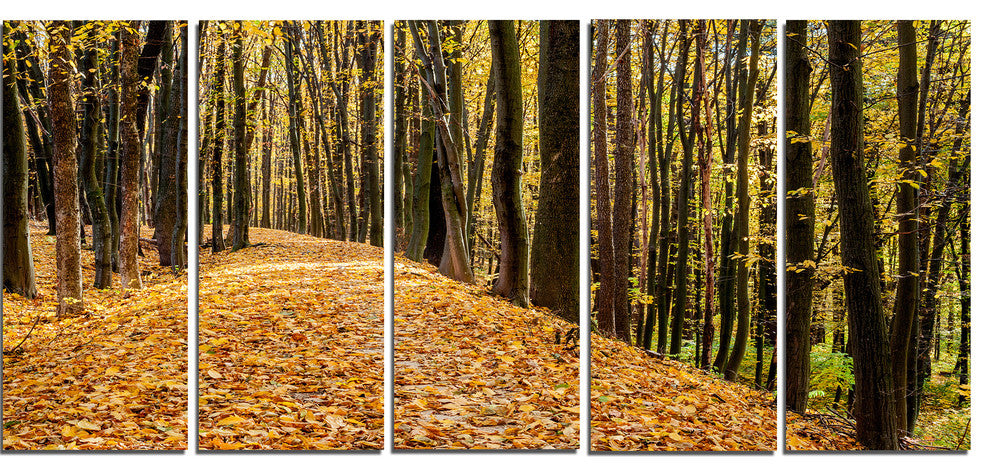 Dense Autumn Forest Woods, Modern Forest Canvas Art, 60"x28", 5 Panels