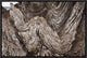 Folded Limestone Layers, Kaikoura, North Canterbury, New Zealand, 18"x12"