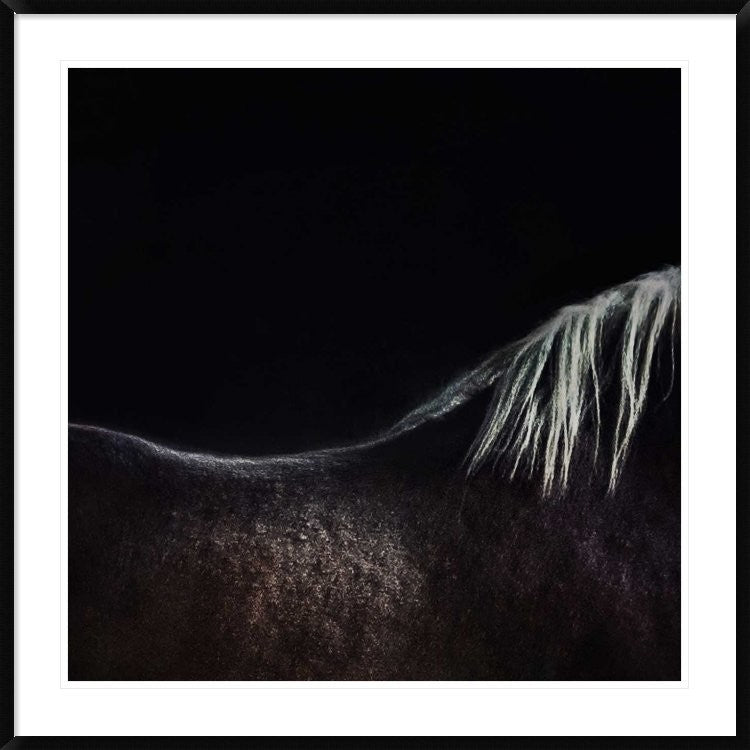"The Naked Horse" Framed Digital Print by Piet Flour, 44x44"
