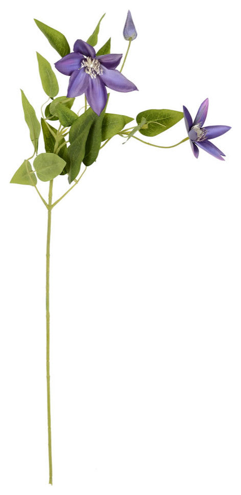 25" Clematis Stem, 6 per Pack, Light Purple