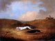 Senior Dean Wolstenholme Robert Poole's Greyhounds Wrapped Canvas