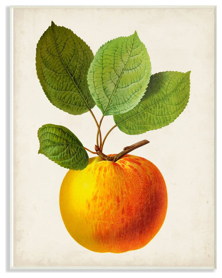Vintage Fruit Apple Painting, 12"x18"