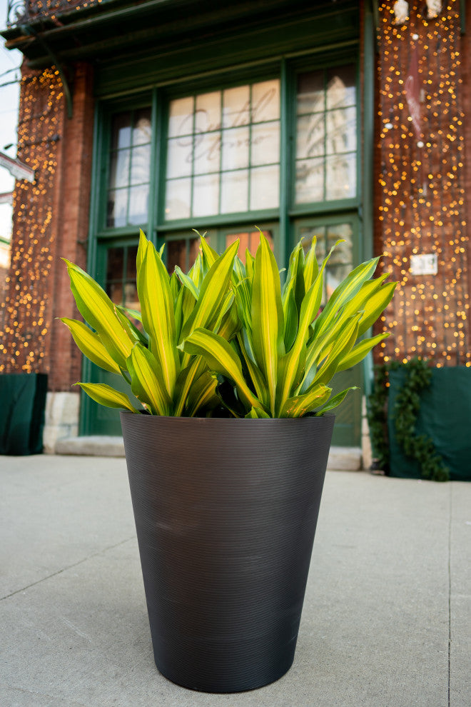 Pro Series Curve Grooved Planter, 30", Black