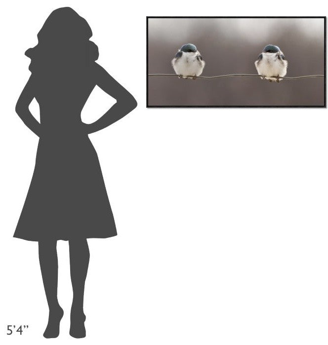 Birds On A Wire, 36"x18"