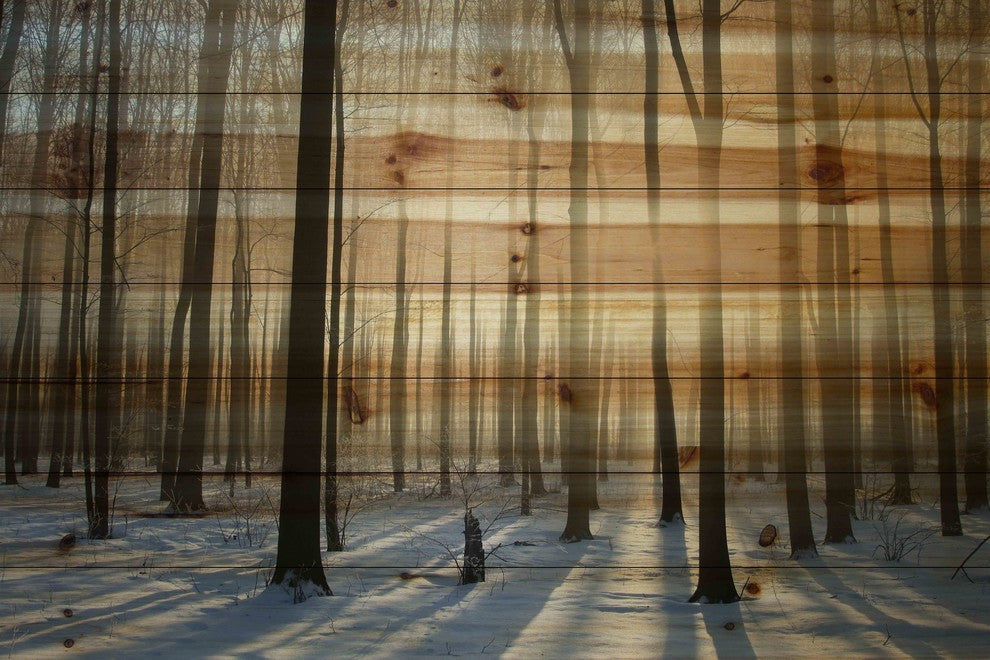 "Papineau" UV Ink Print on Natural Pine Wood, 36"x24"