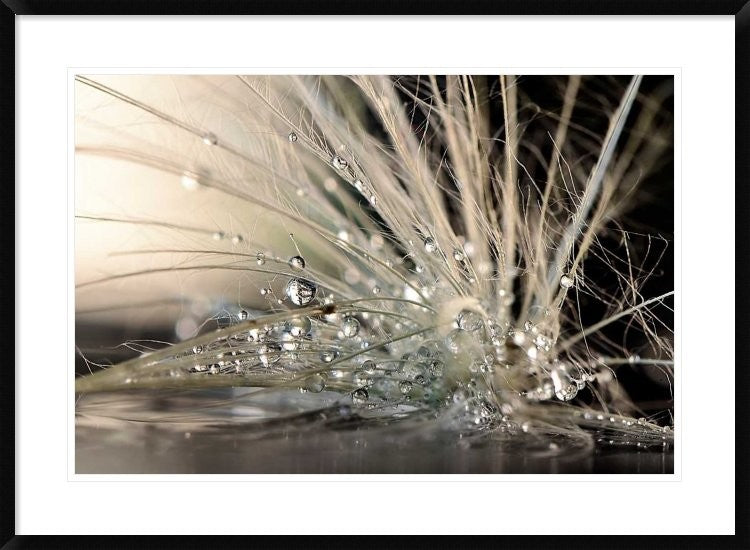 "Pearls" Framed Digital Print by Maryam Zahirimehr, 38"x28"