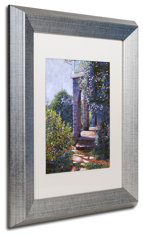 David Lloyd Glover 'Climbing Roses' Art, Silver Frame, 11"x14", White Matte