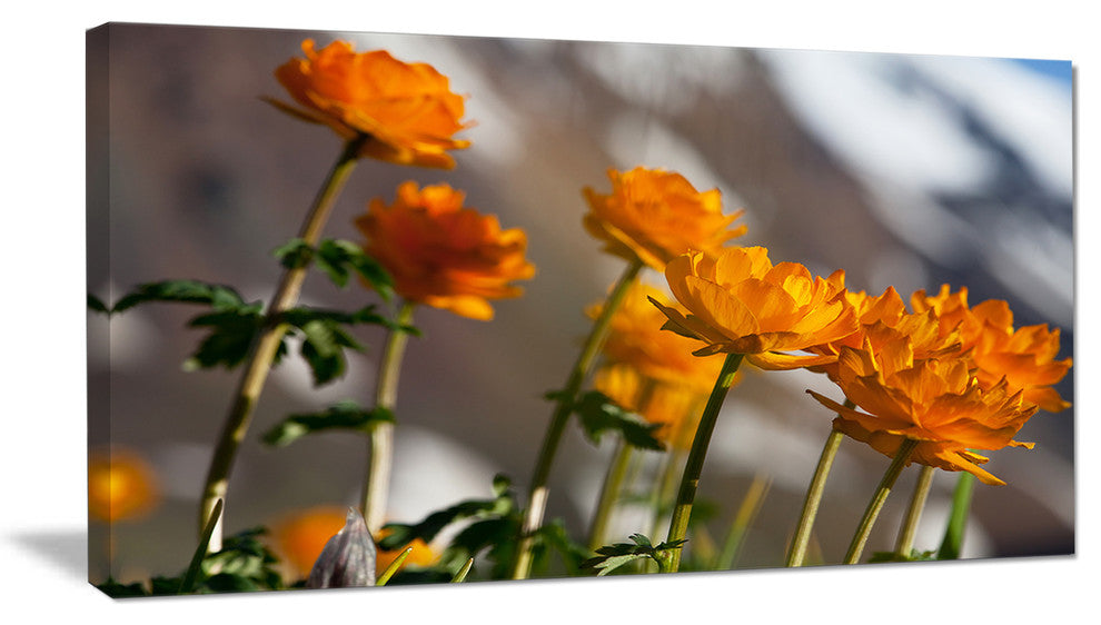 Attractive Small Yellow Flowers, Large Flower Canvas Wall Art, 32"x16"
