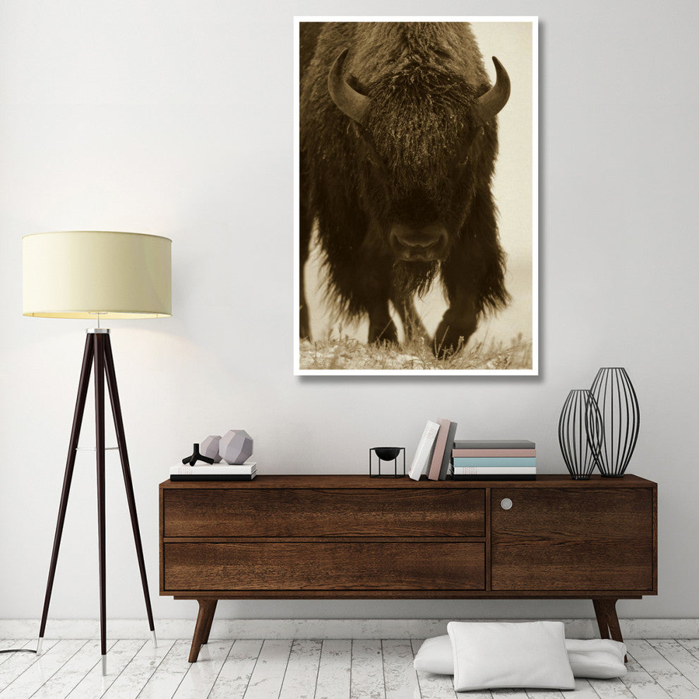 "American Bison portrait in snow, North America" Paper Art, 42"x62"