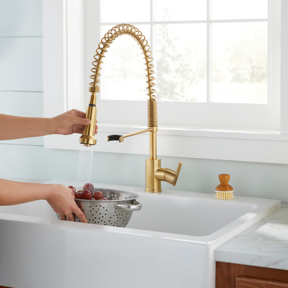 Parma Single Handle Pre-Rinse Kitchen Faucet, Brushed Bronze