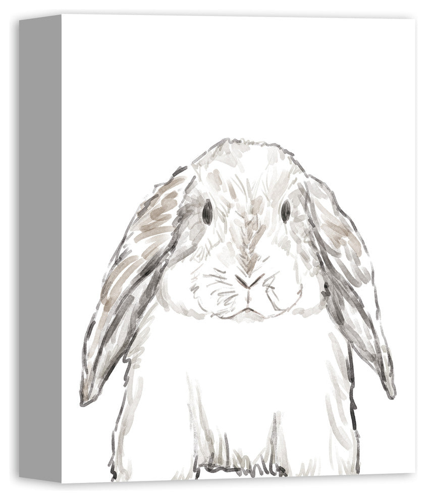 Baby Bunny Sketch Canvas Wall Art, 11x14