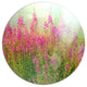 Meadow With Little Purple Flowers, Floral Disc Metal Wall Art, 11"