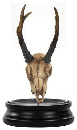 Deer Skull Statue With Cover